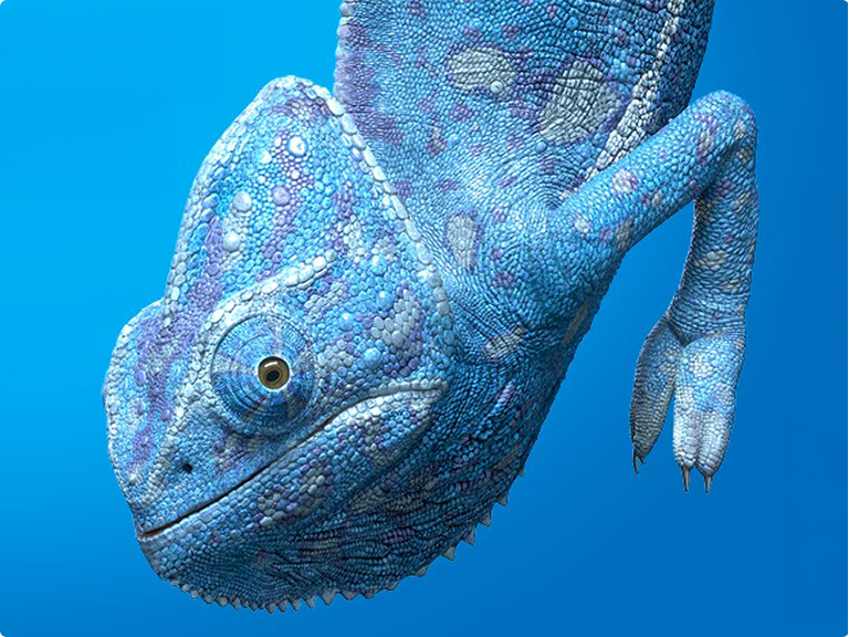 A blue chameleon blending against a vibrant blue background.